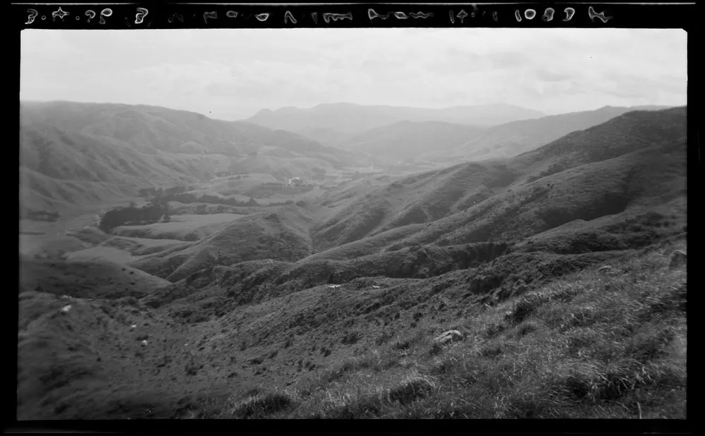 Makara Valley from hill, 1083 feet