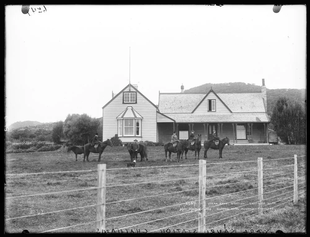 Wara Kauri Station, Chatham Islands