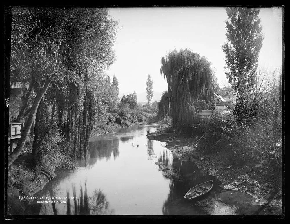 Omaka River, Blenheim