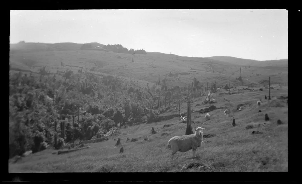 Horowhenua Geological and Tararua Range