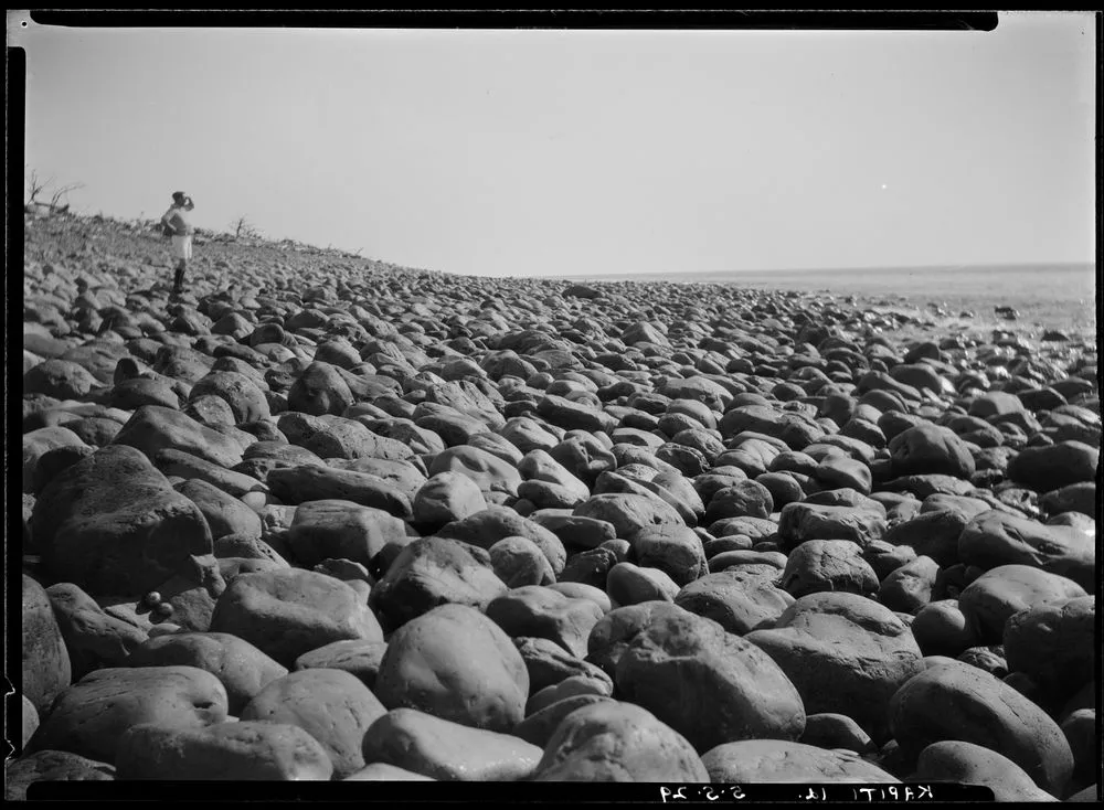 Visit to Kapiti, Kapiti Island - 5 May 1929