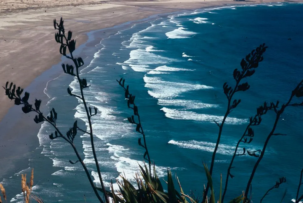 Cooper Beach