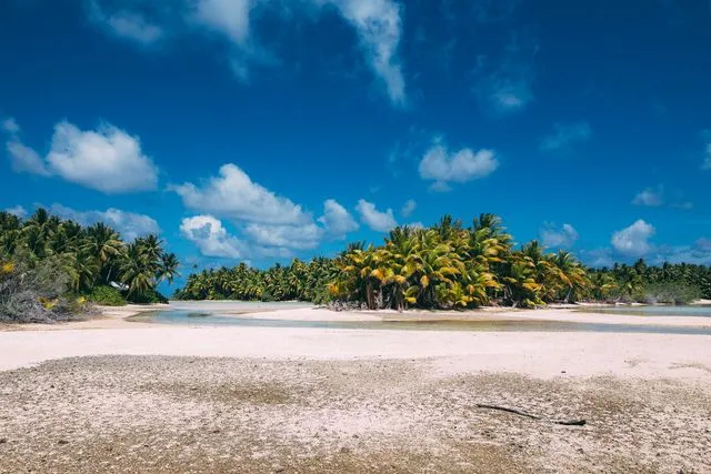 Atoll landscape, Atafu, Tokelau