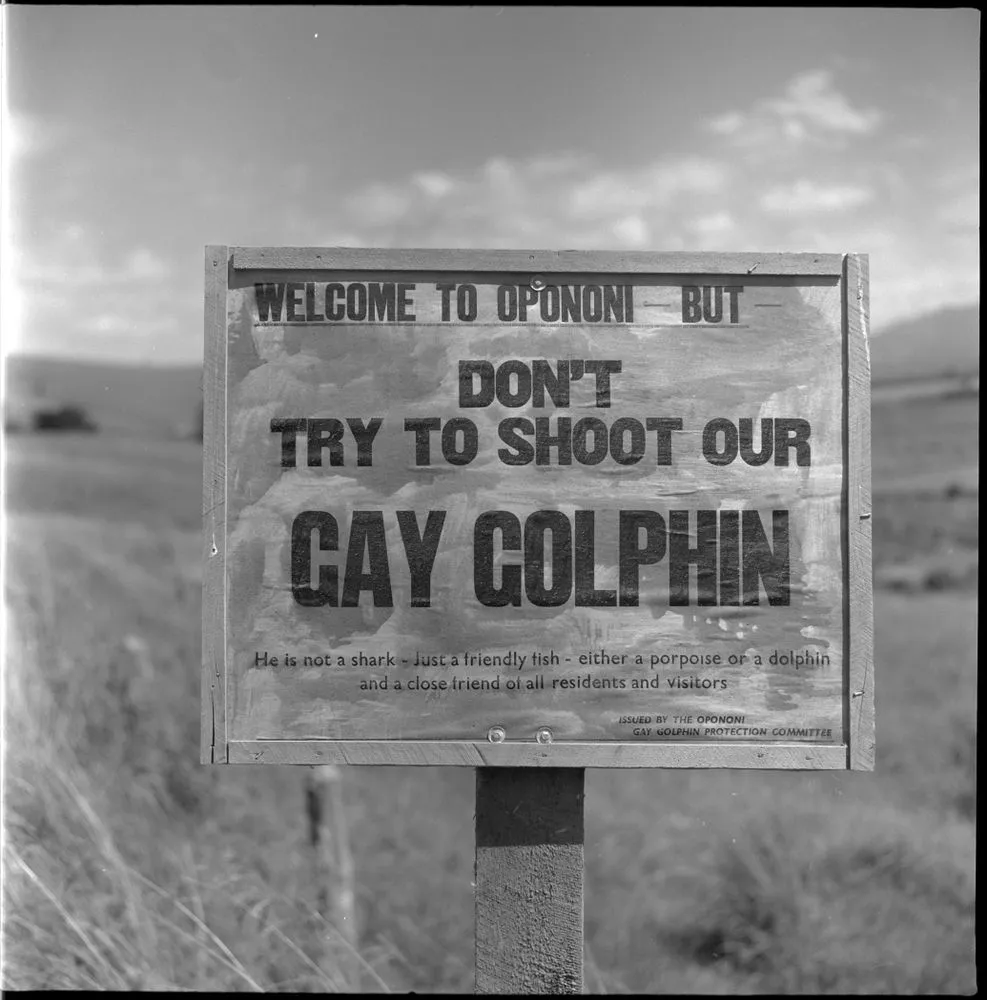 Welcome to Opononi sign