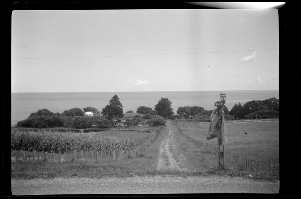 Northland country road