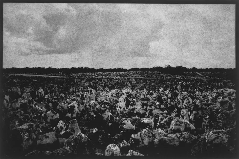 Nauru (mined pinnacles, across island)