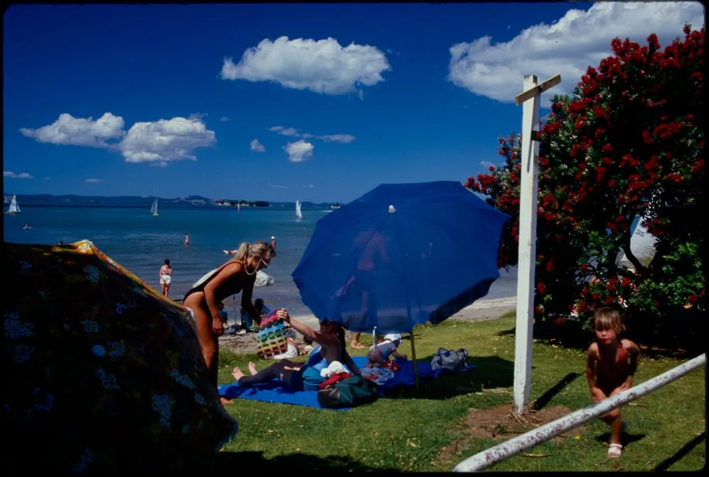 Sunbathers and picnicers on beachfront site