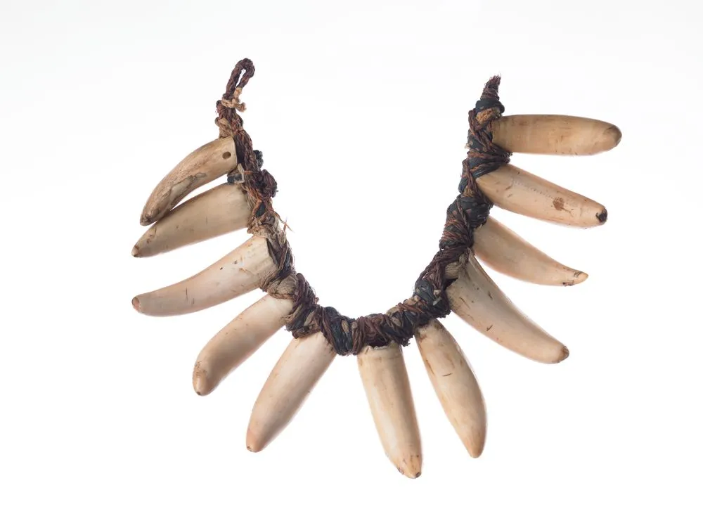 Vuasagale (sperm whale tooth necklace)