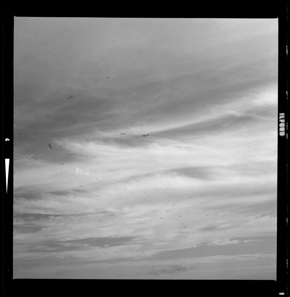 Sky, Waiuku