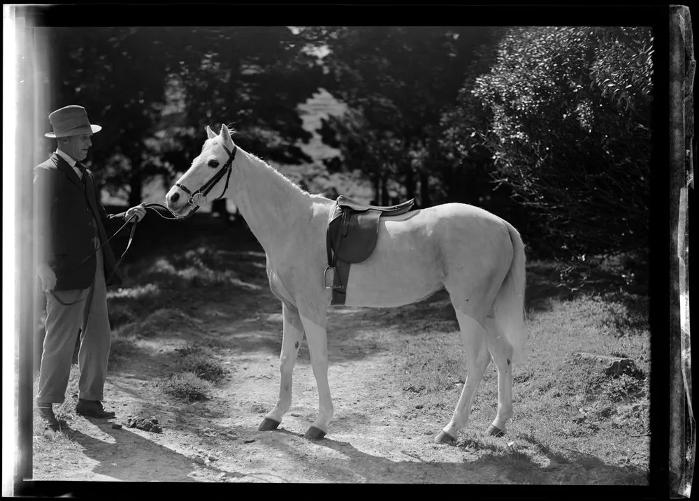 George Wanless (Government House groom) with horse in grounds of Government House, Wellington