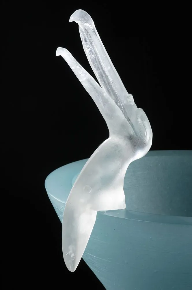 Antipodean bowl with albatross I