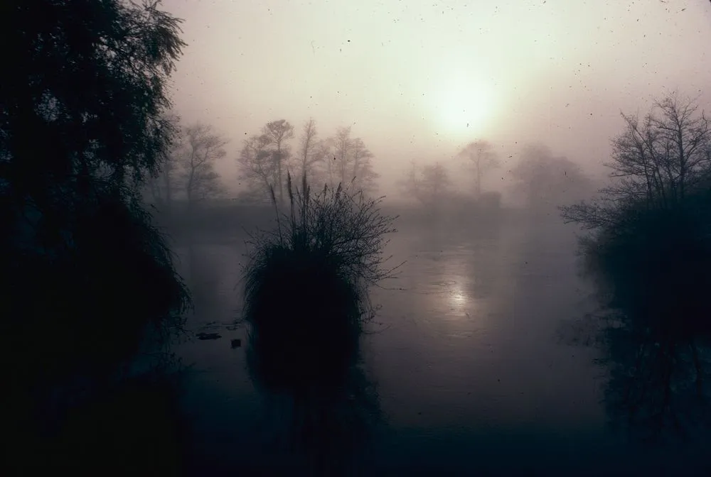 Waikato River