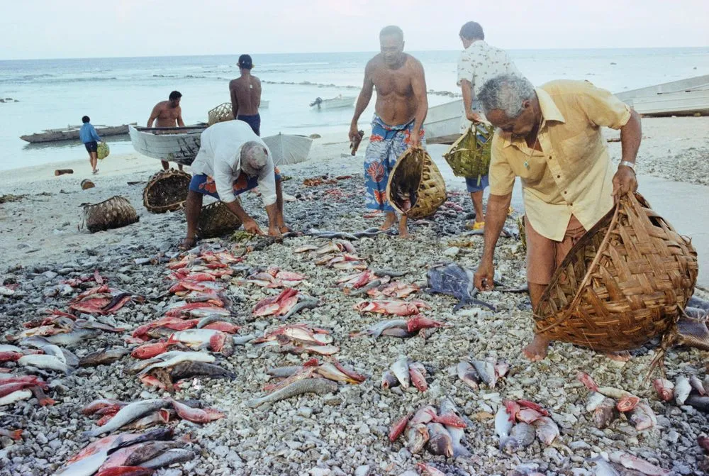 Inati - Food division, Nukunonu Atoll, Tokelau