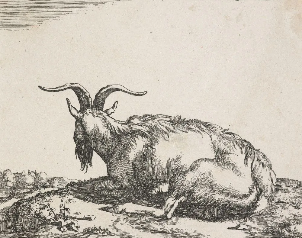 Goats: Plate 8: A billy goat resting in a landscape