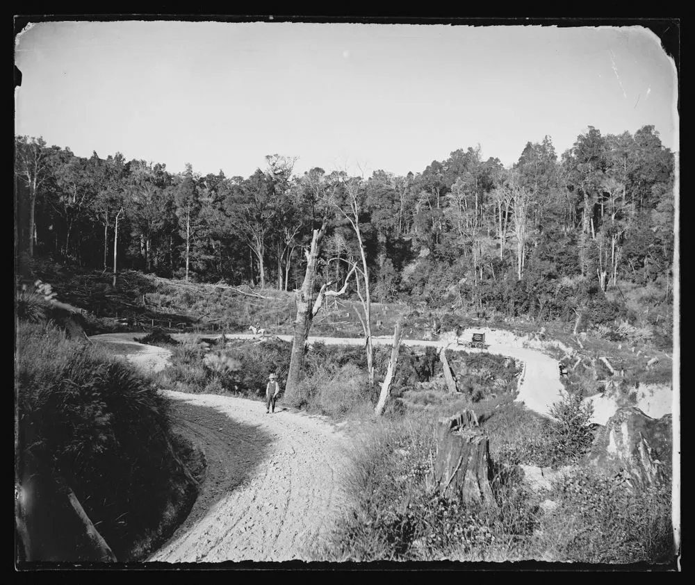 Horseshoe Bend near Taueru [sic], Wairarapa, Castle Point Road, New Zealand