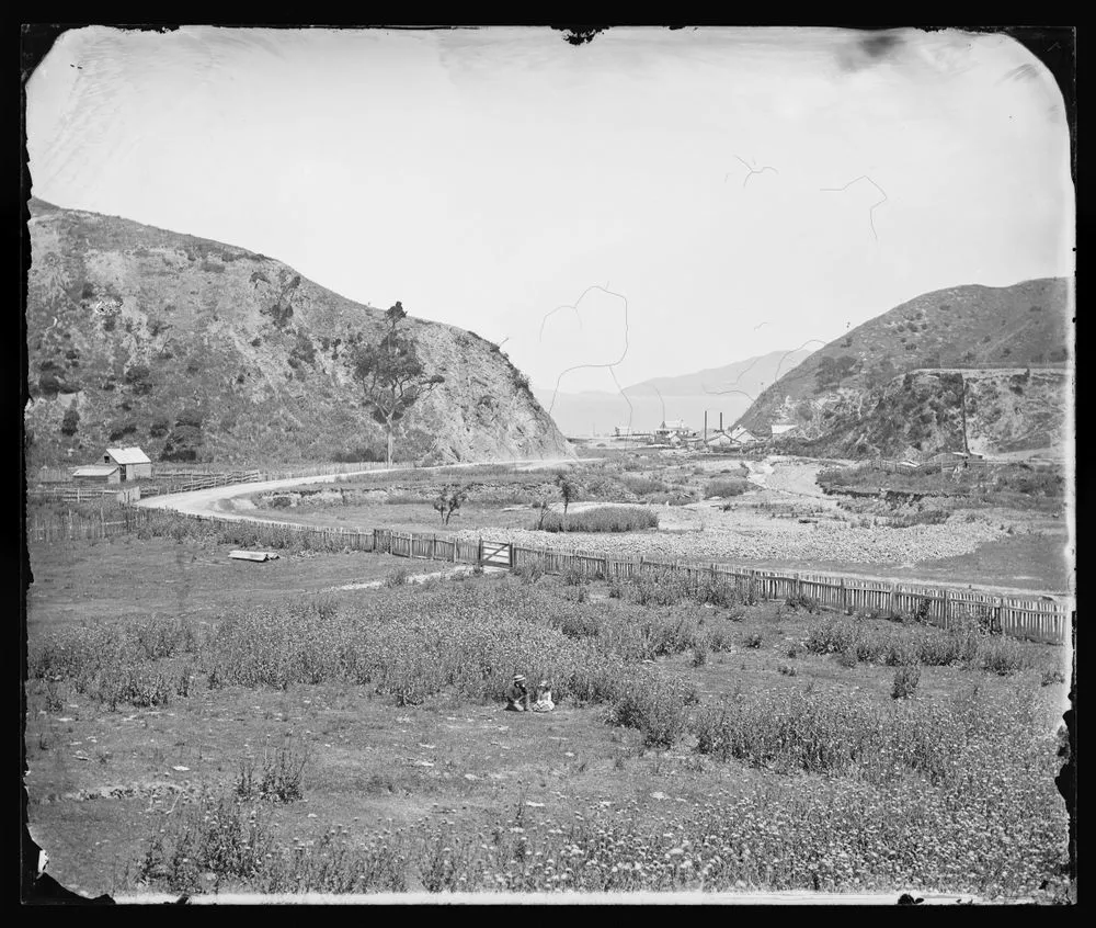 Ngauranga Gorge