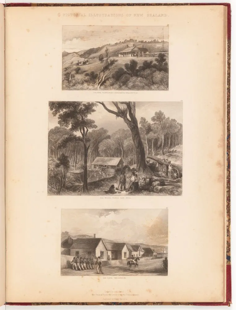 Plate 16. From the Book. Pictorial illustrations of New Zealand