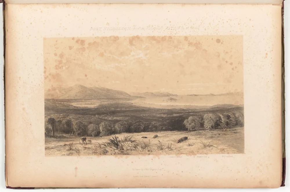 Port Nicholson from the hills above Pitone in 1840. Plate 3. From the book: Illustrations to Adventure in New Zealand