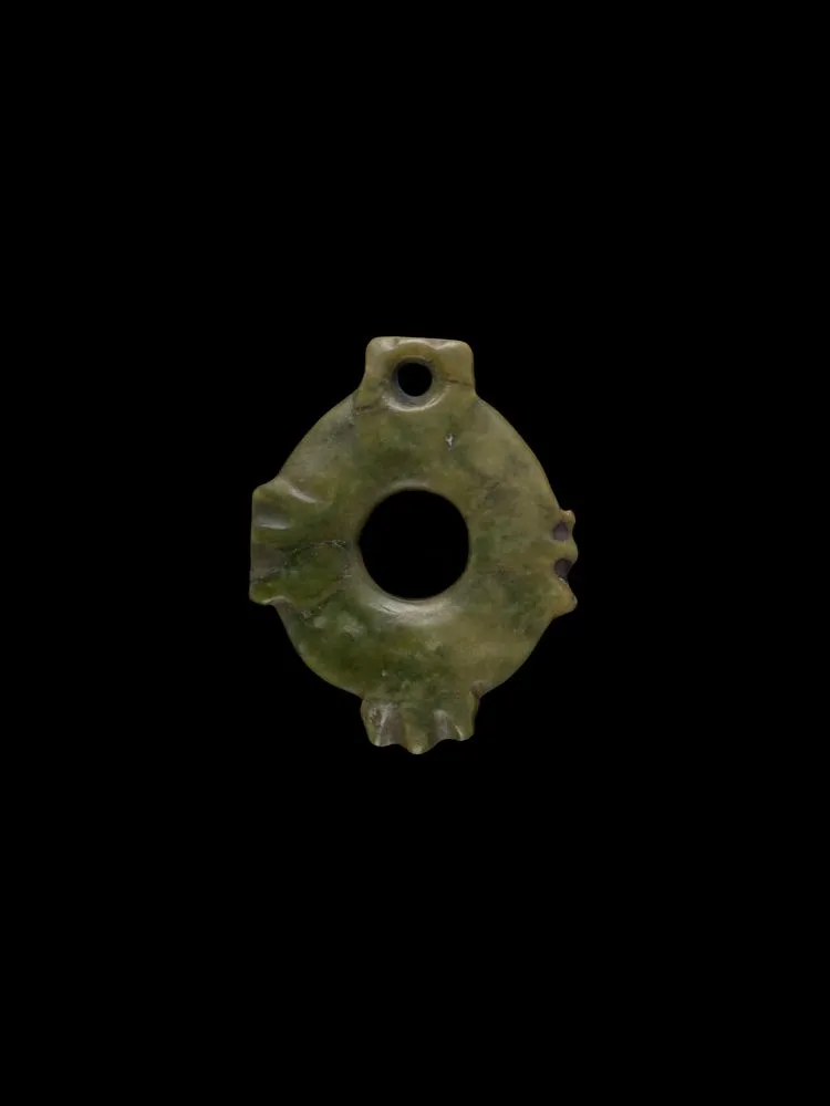 Kākā pōria (bird leg ring)