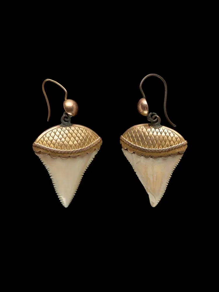 Tupa (shark tooth earrings)