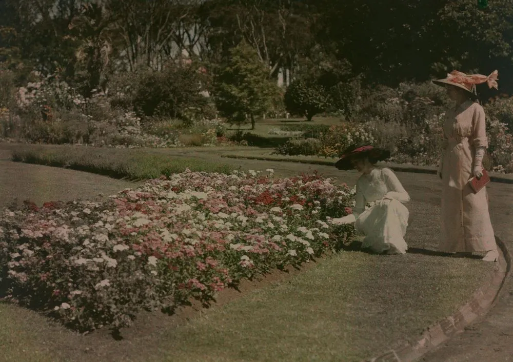 In Domain gardens