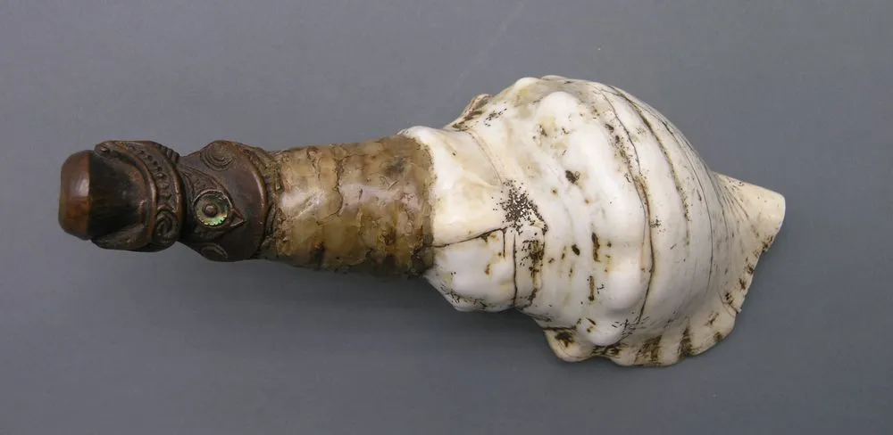 Pūtātara (trumpet)