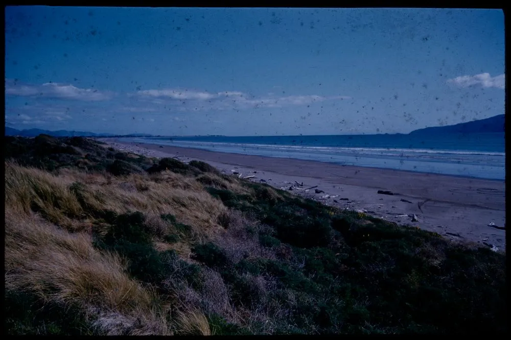View of Kenakena cuspate foreland (left) & south end of Kapiti & its 3 islets (right) ....
