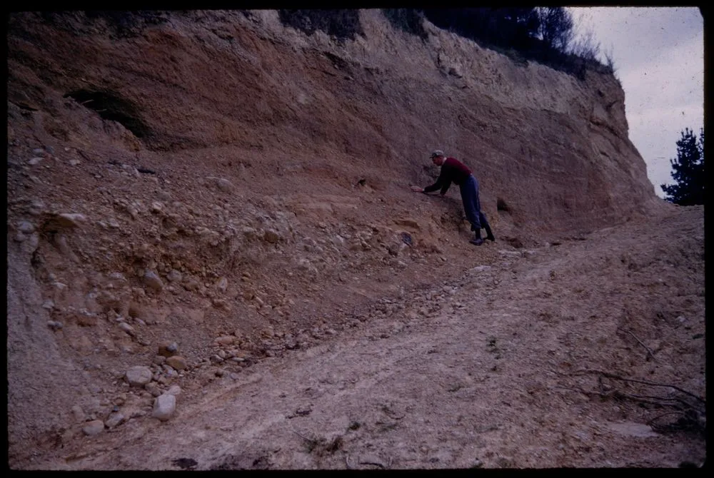 Section of Otaki formation immediately SW of lower sharp angle of Palmerston-Pahiatua Road ...