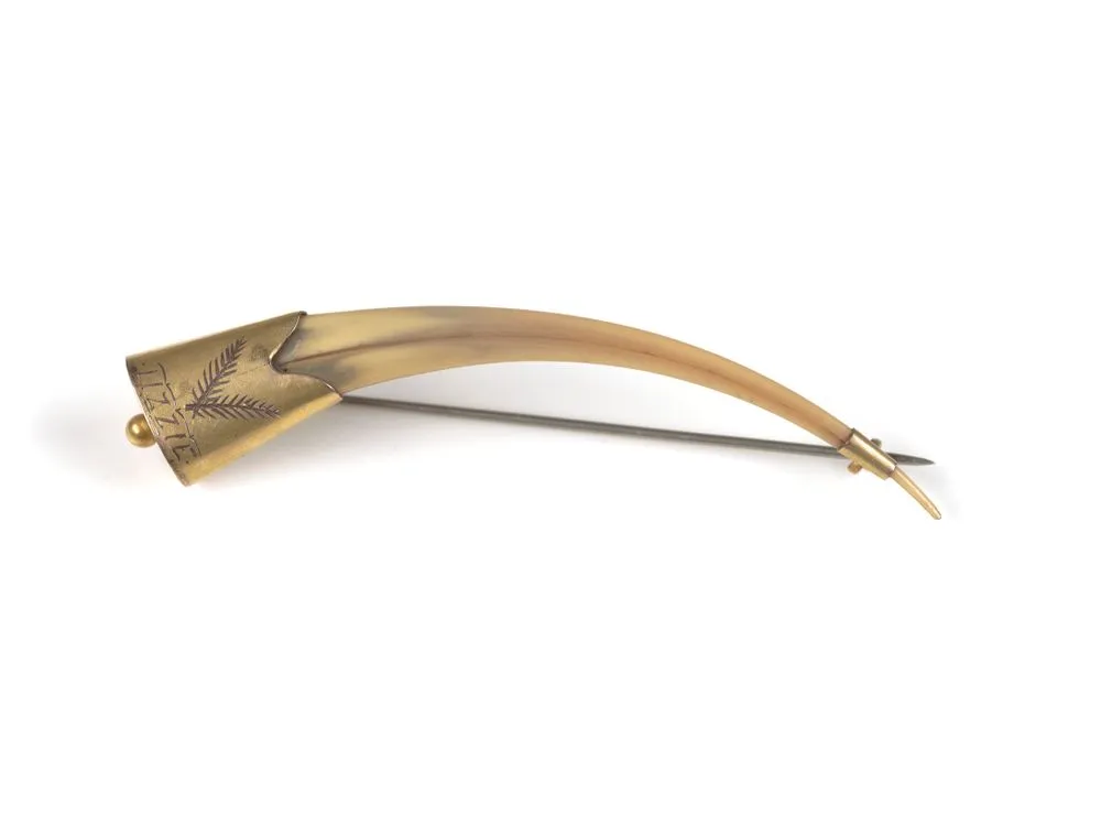 Huia beak brooch