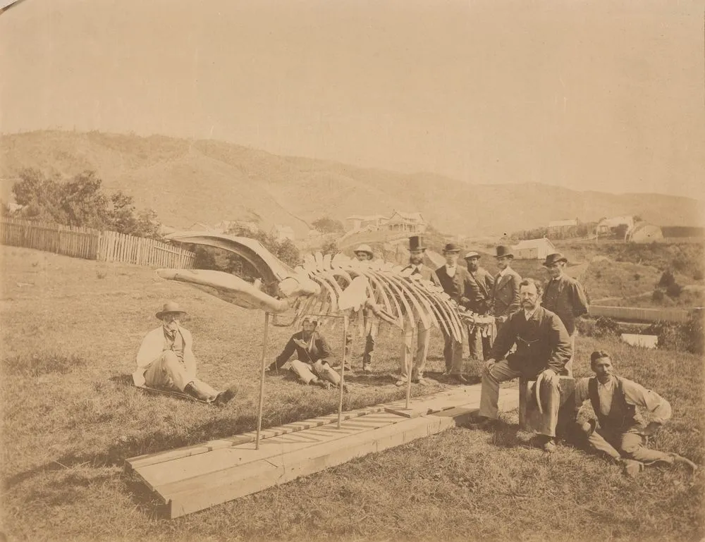 Group with mounted skeleton, including James Hector