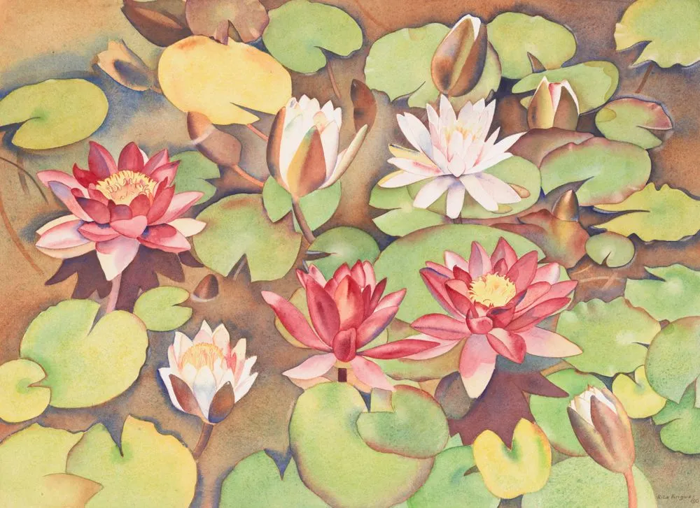 Waterlilies