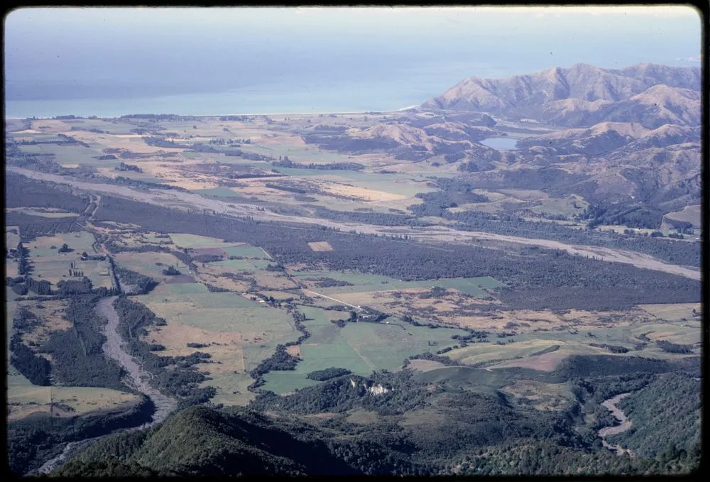Doug Flack's study area, Kowhai Bush, Kowhai River, Kaikoura