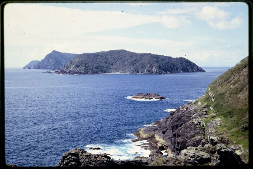 Marotiri from Muriwhenua, Chicken Is