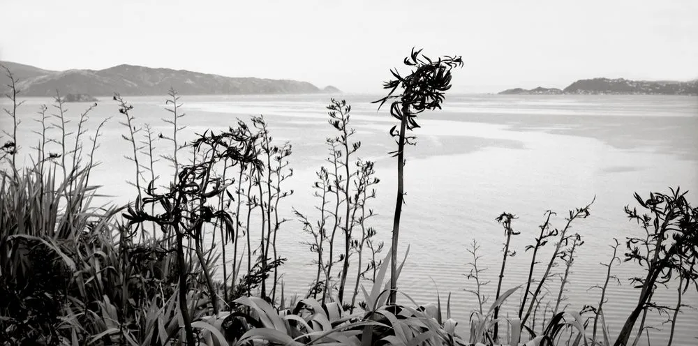 Whanga-nui-a-Tara (Wellington Harbour) and Makaro (Ward Island) from Matiu (Somes Island)