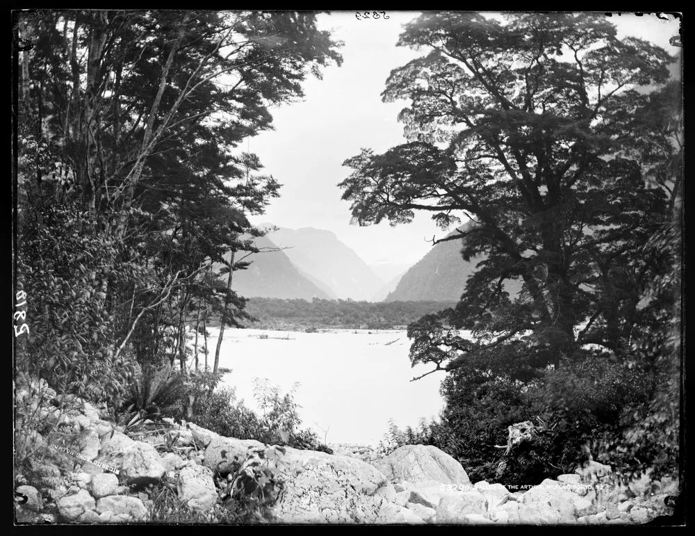 Valley of the Arthur, Milford Sound, NZ