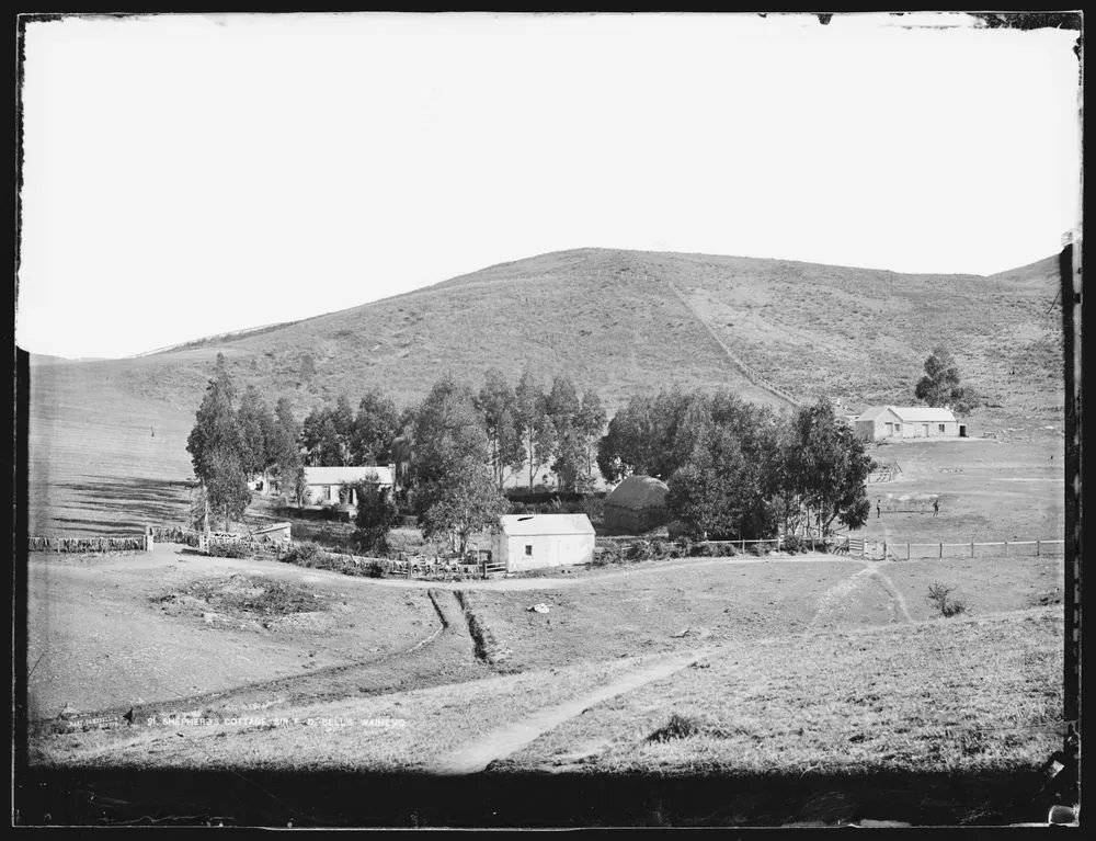 Shepherd's Cottage, Sir F. D. Bell's, Waihemo