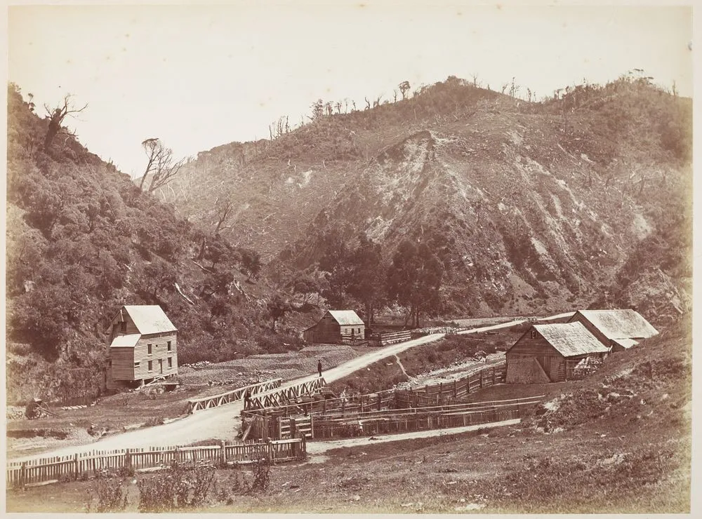 Ngauranga, entrance to the gorge, Wellington N.Z. 27 February 1880