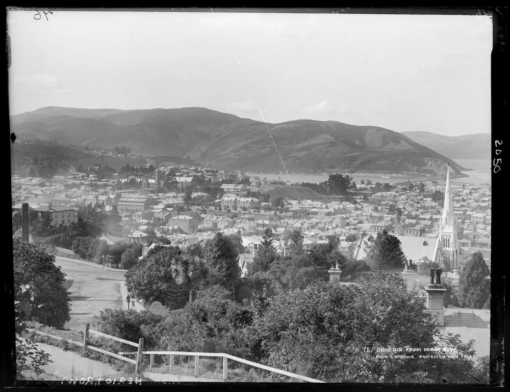 Dunedin from Heriot Row