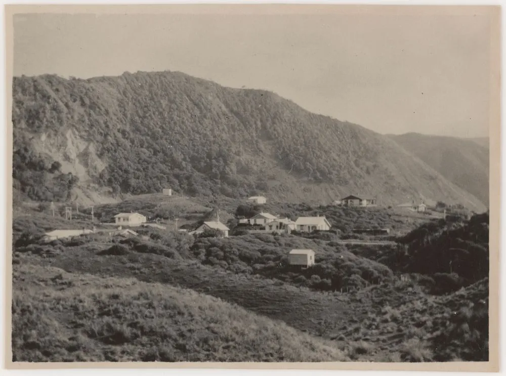 [Paekakariki houses].