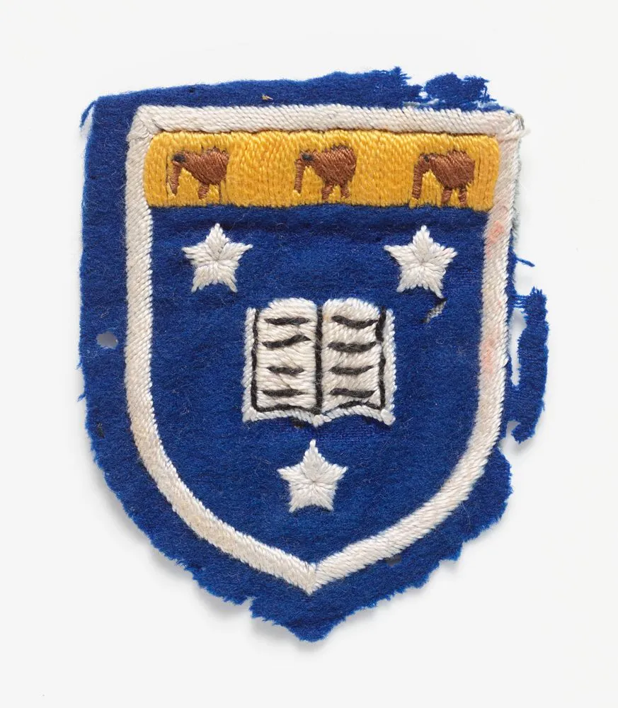 Sports team badge