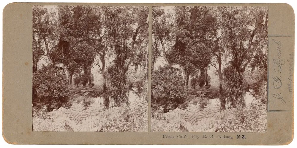 From Cable Bay Road, Nelson, New Zealand