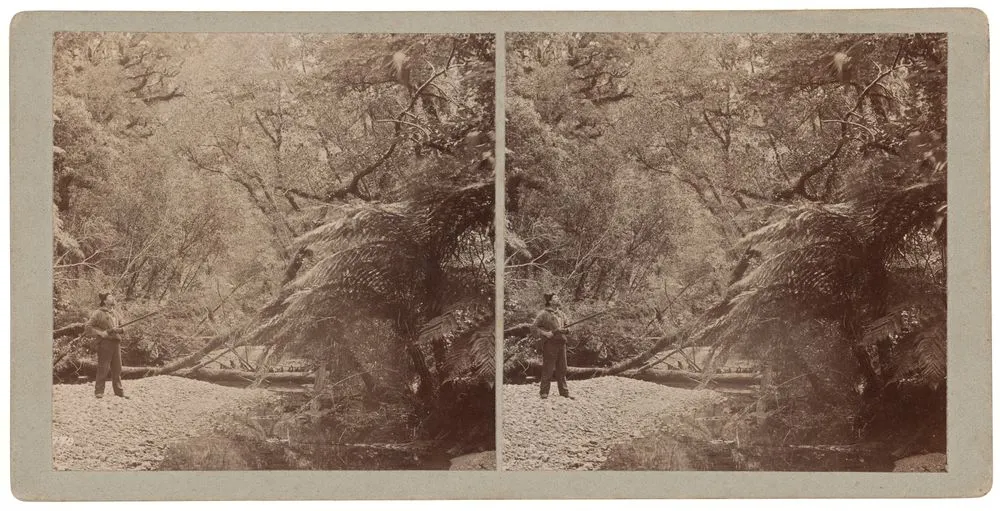 Milford: Bush Scene under Sheerdown, Sutherland with gun