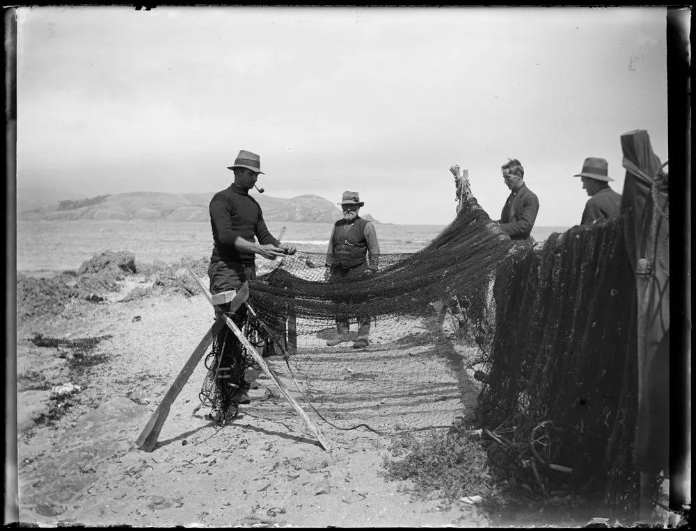 Mending nets