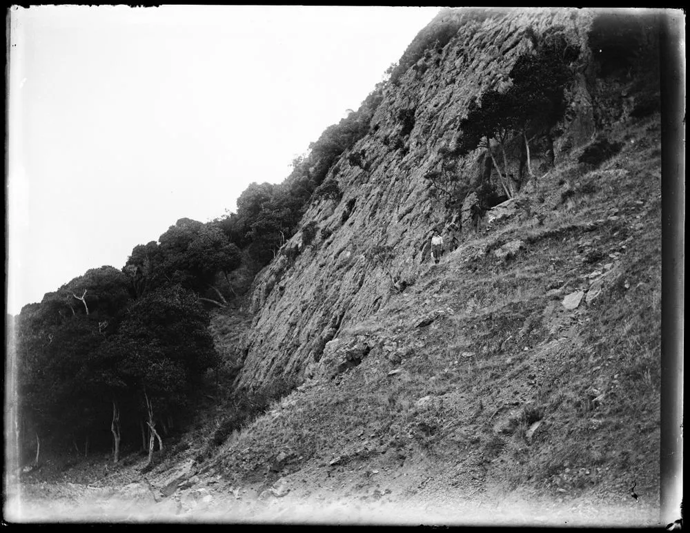 Great slab of bare rock dotted with rock plants forming hillside a little to the north of Taepiro Creek