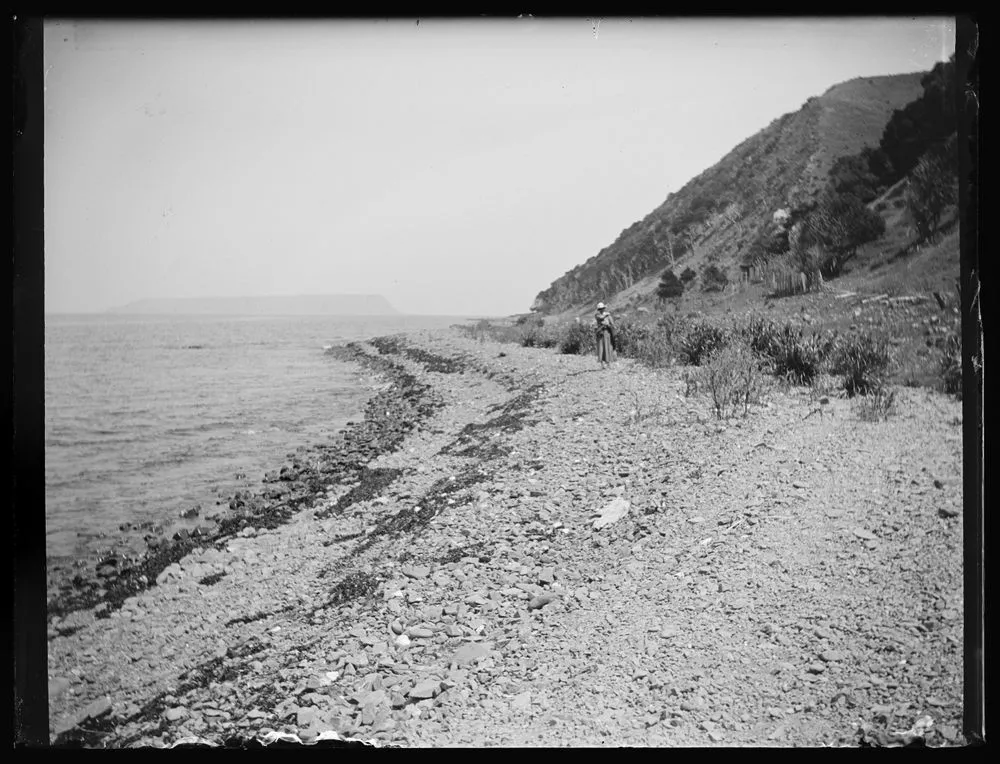 Along the shingle beach