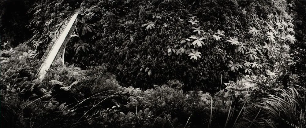 The Bridge to Nowhere, Mangapurua Valley. From the portfolio: The Wanganui - 12 Panoramas