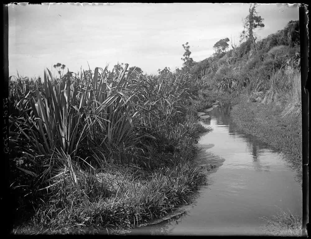 Horowhenua