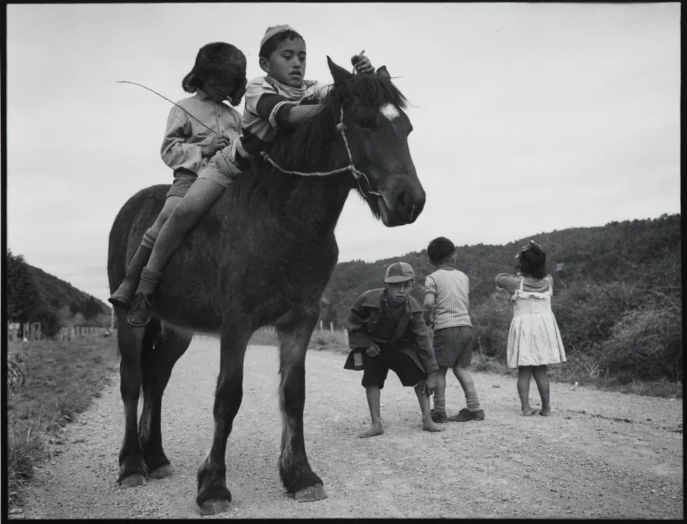Ruatoki. From the portfolio: Maori