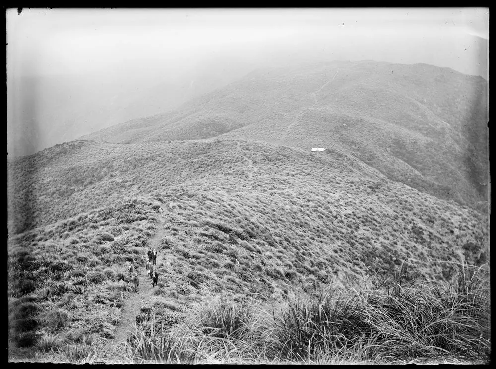 Mount Hector Track - 1921