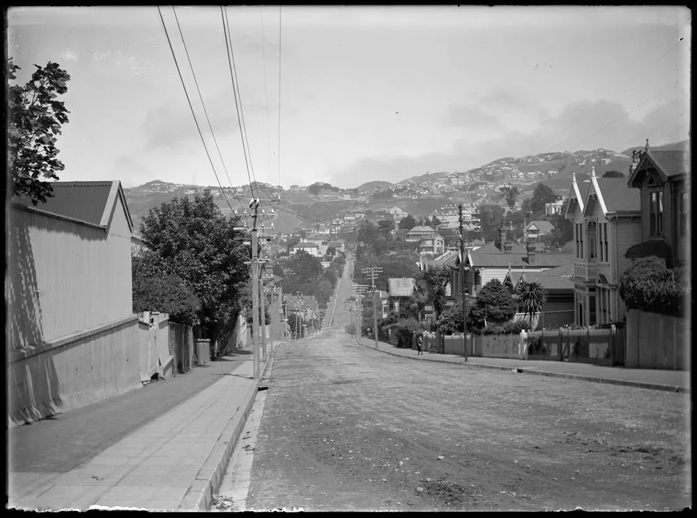 Wellington Terrace looking south from Mount Street. Central Park in distance, with Brooklyn (left) and Fitchett Town (right) on skyline